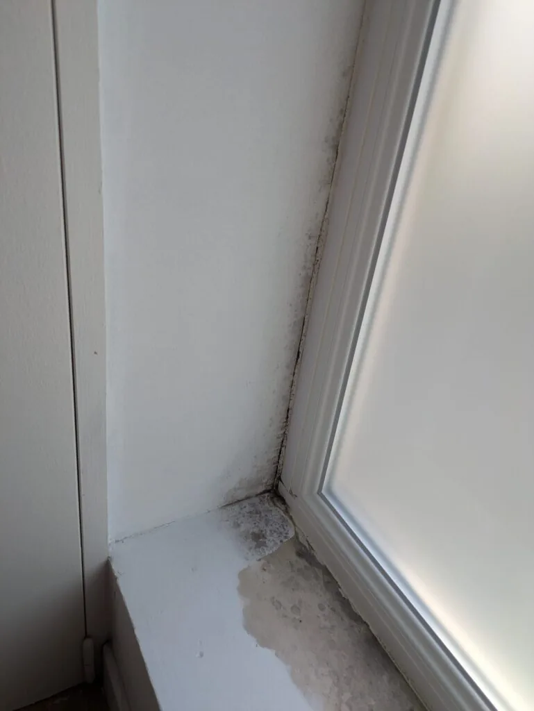 Ébrasement de fenêtre non isolé couvert de moisissures noires, signe d'un pont thermique